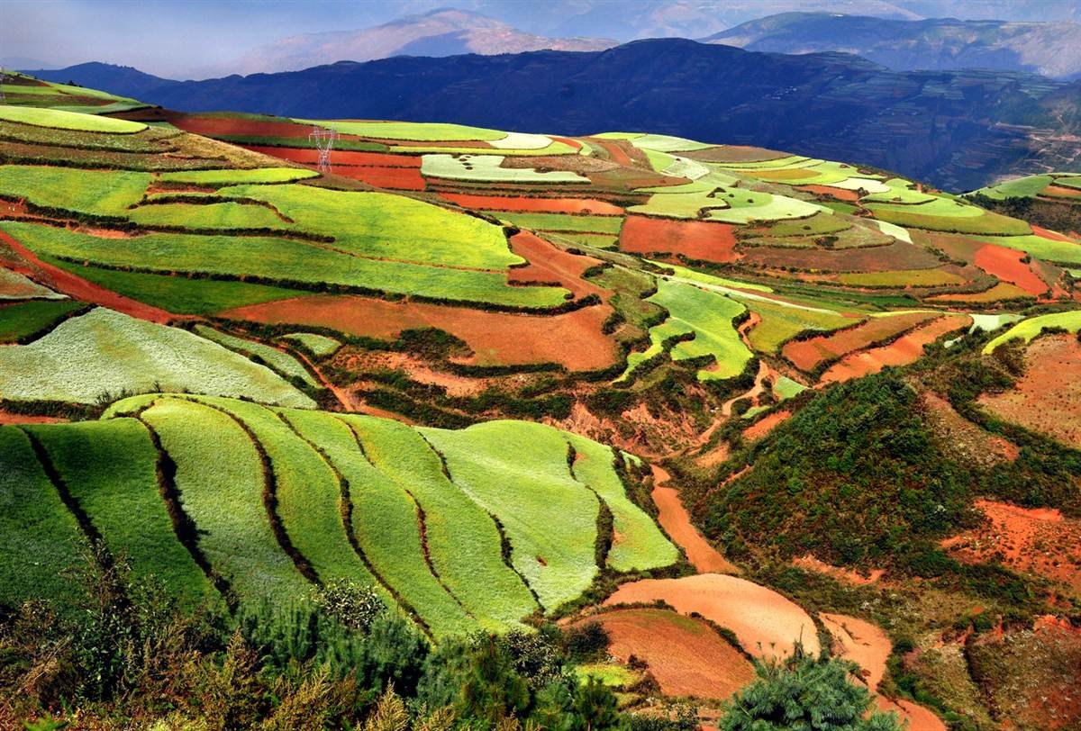  Yunnan rižne terase (Kina) 